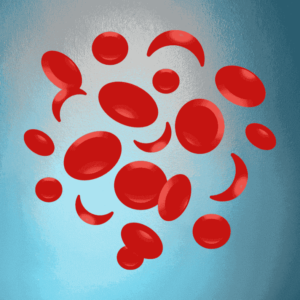 CBC Test in Hyderabad | Same-Day Complete Blood Count Report