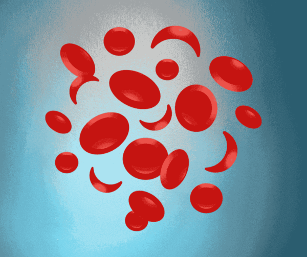 CBC Test in Hyderabad | Same-Day Complete Blood Count Report