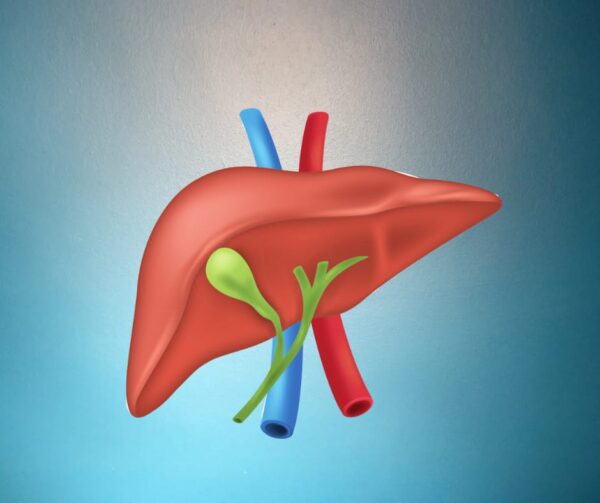 Liver Function Test in Hyderabad At Aadhunikalab