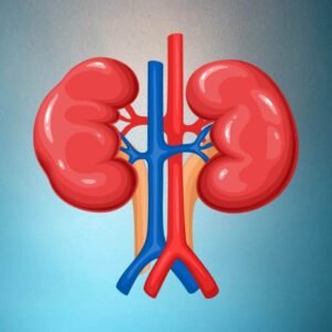 Kidney Function Test in Hyderabad At Aadhunikalab