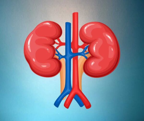 Kidney Function Test in Hyderabad At Aadhunikalab